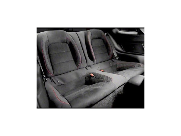 ➤ Ford Performance rear seat kit (15-23 GT350R) now buy cheap at American  Horsepower!